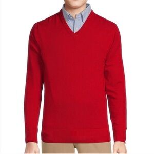 Daniel Cremieux Cashmere V Neck Sweater NWT